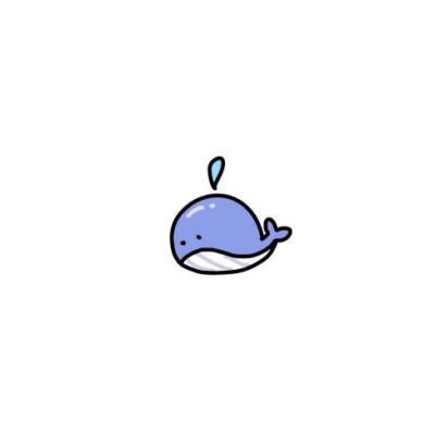 小海豚头像