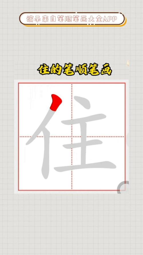 住的五笔