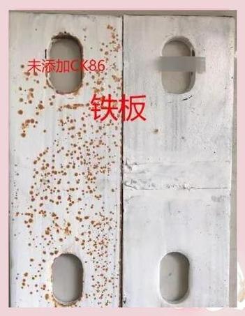 壳子是什么意思
