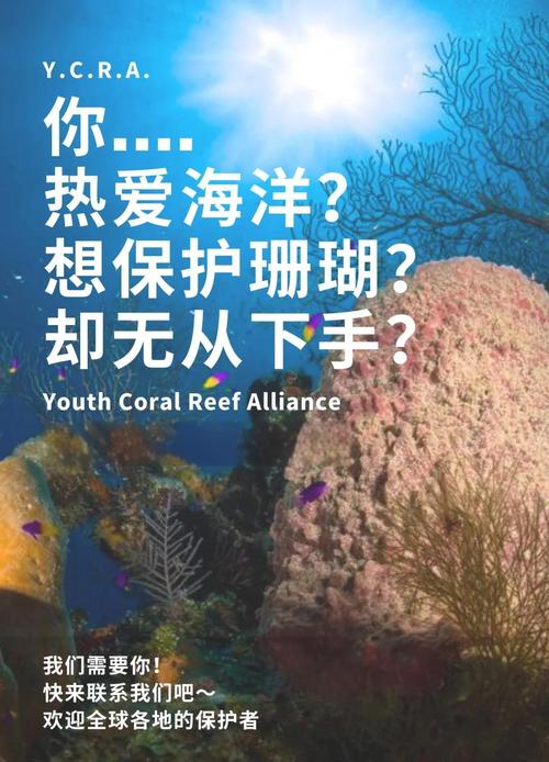 珊瑚岛公益平台