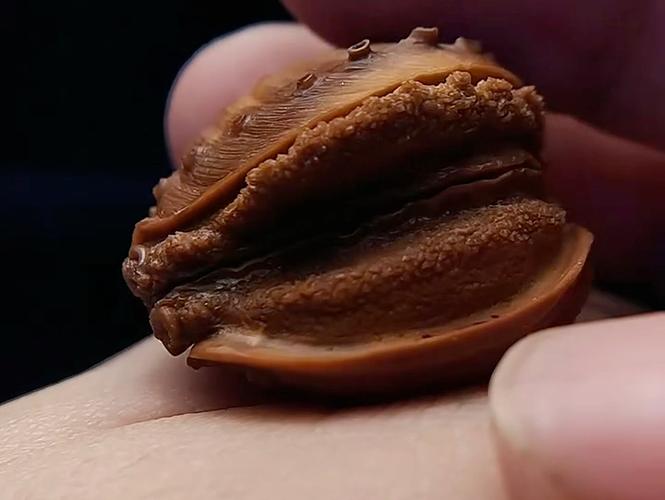 怎样做鲍鱼