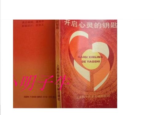 打开心门的钥匙游戏截图