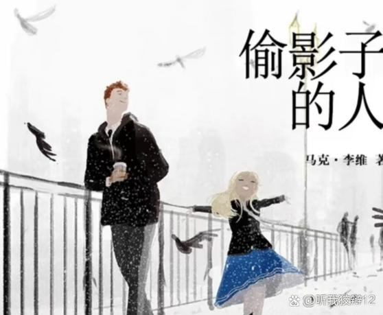 中国四大盗版书市场图标