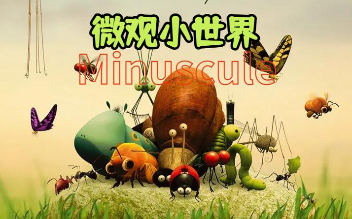昆虫总动员纪录片