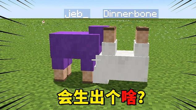 jeb羊