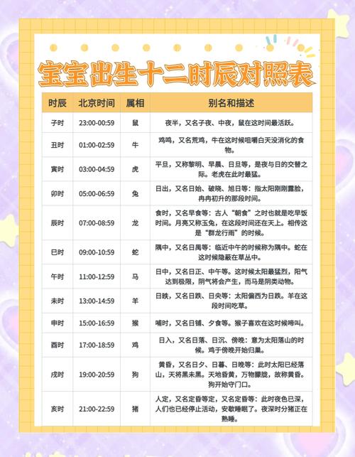 出生点是什么意思