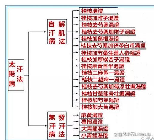 伤寒论113方全部内容