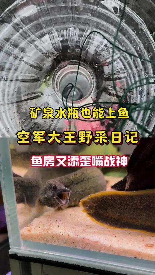 用矿泉水瓶做抓鱼工具图标