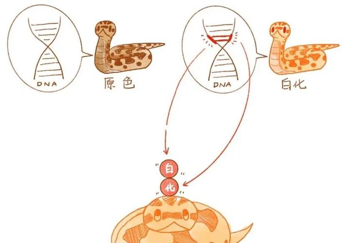 复制粘贴隐藏不显示图标