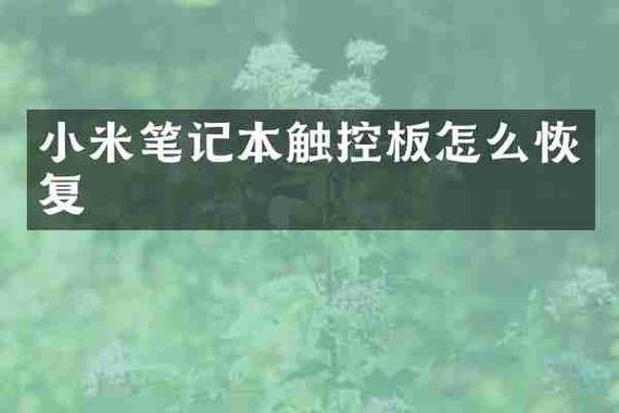 小米电脑触摸板解锁缩略图