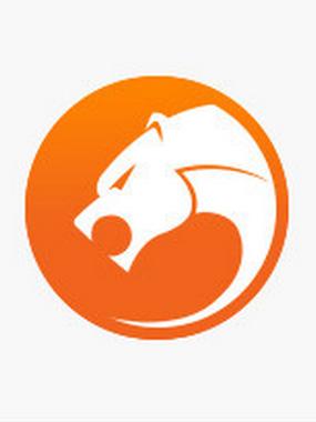 猎豹浏览器官网图标