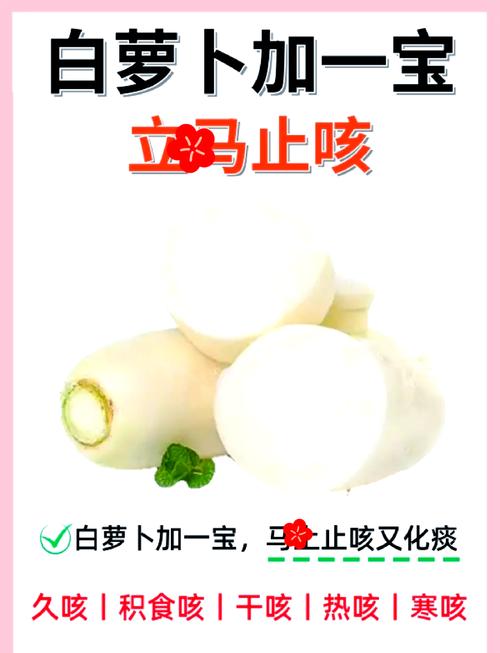 白萝卜止咳的最佳方法