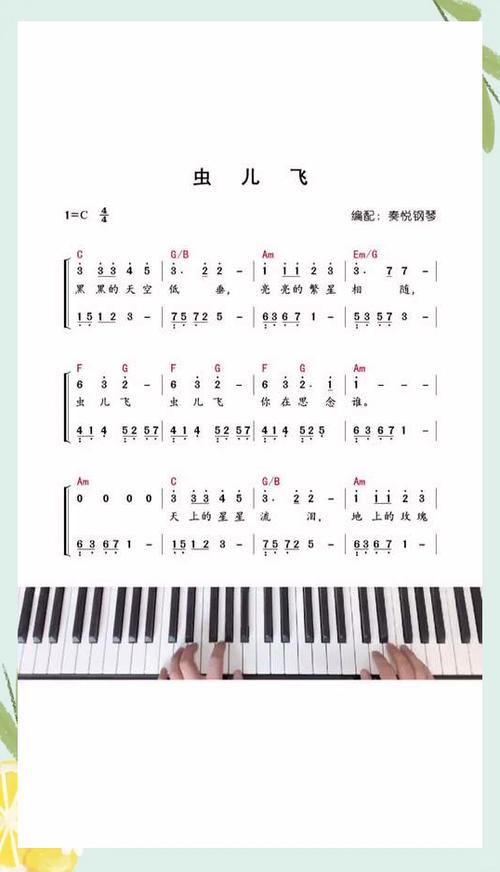 初学者怎么看懂简谱