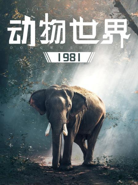 动物世界视频播放