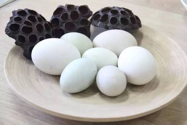 矿维趣好吗