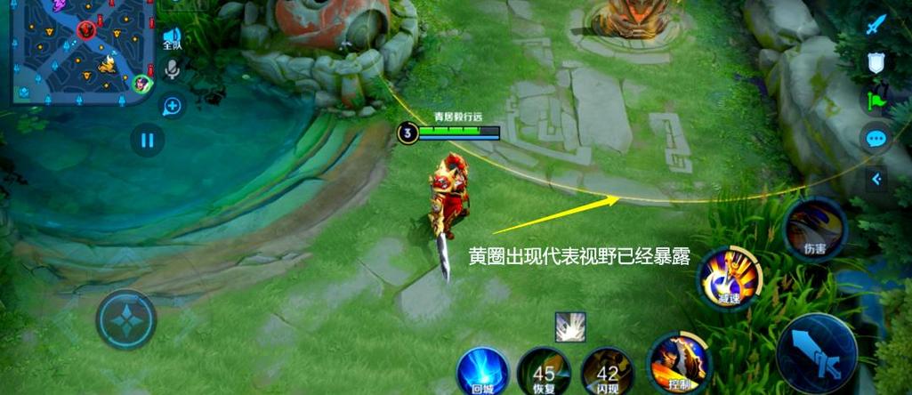 王者视野是什么意思缩略图
