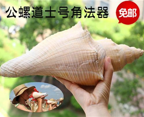 螺号