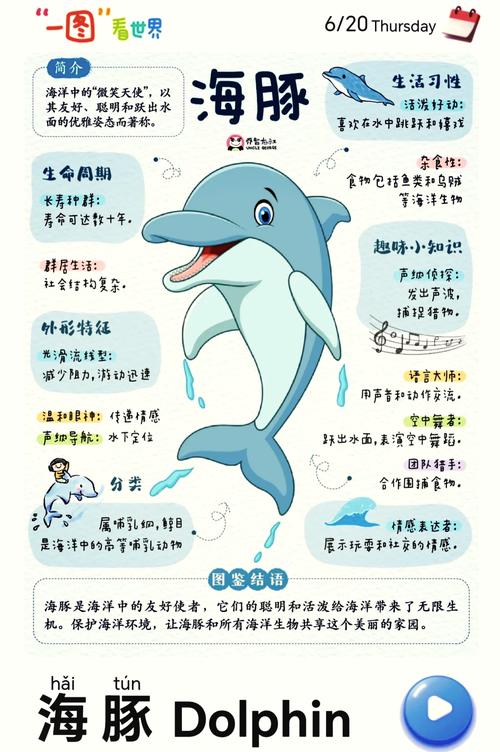 海豚模拟器游戏