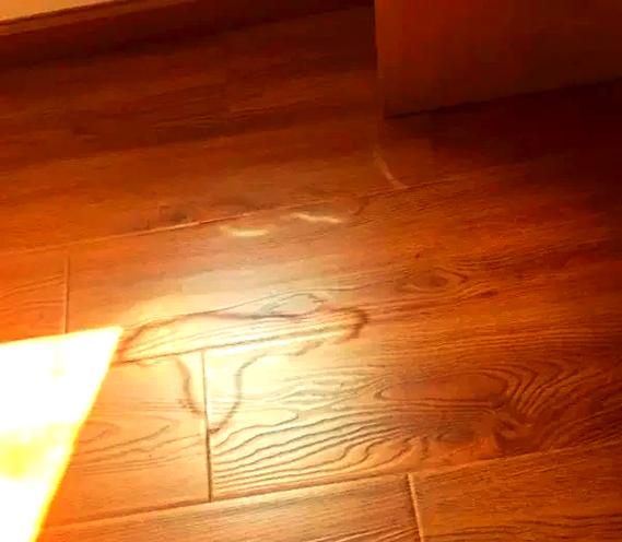 木地板翘起来了怎么修复图标