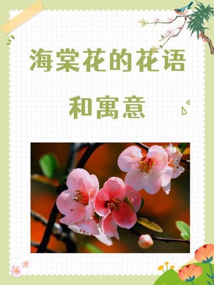 海棠花语送礼宜忌说明截图