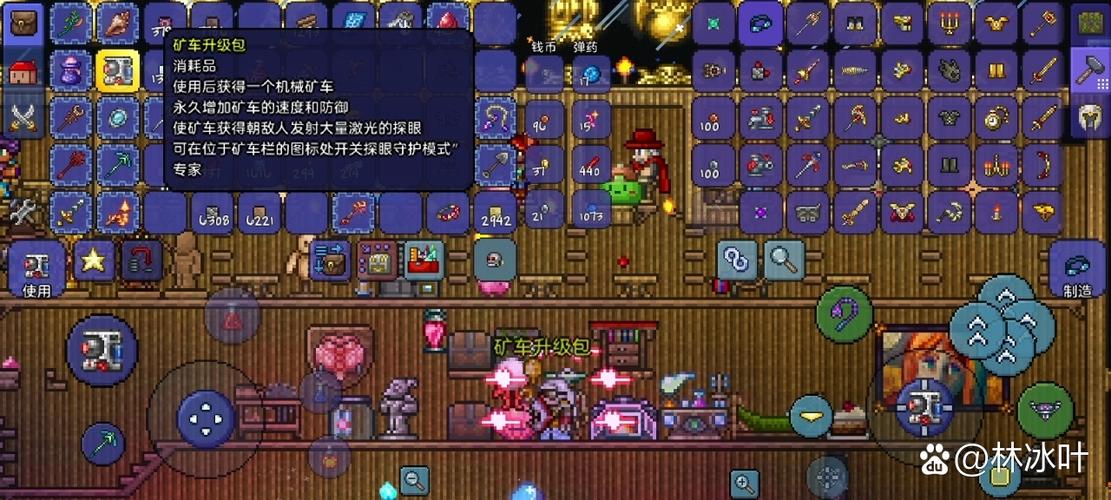 泰拉瑞亚骷髅王前最好装备