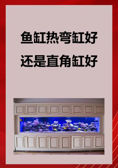 圆角鱼缸好还是直角鱼缸好游戏截图