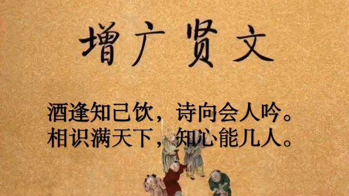 知己有几人的诗截图