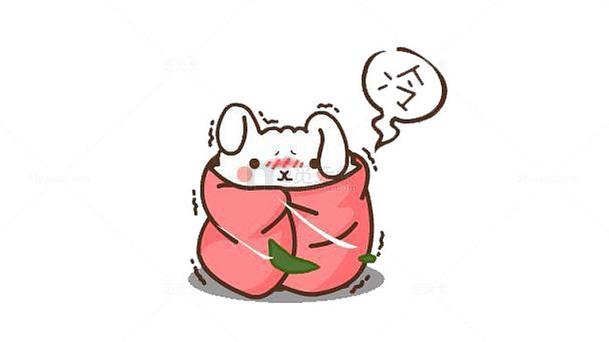 兔子怕冷