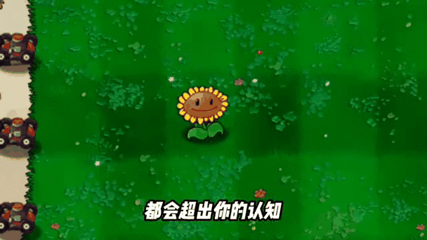 植物大战僵尸向日葵gif动图