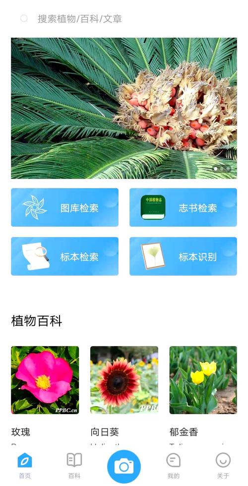 花雨庭进不去怎么办手机