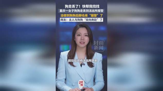 狗狗丢了可以报警吗缩略图