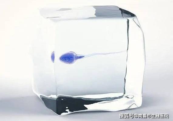 冷冻精子能保存多少年