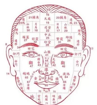 上传照片看面相截图