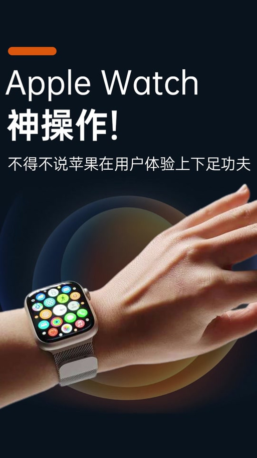 watch程序坞干嘛用的