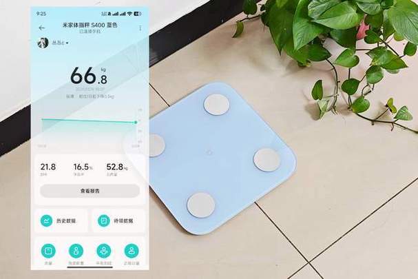 米家体脂秤怎么重置游戏截图