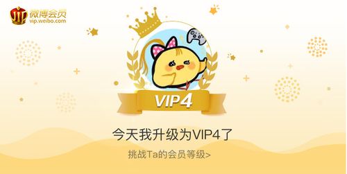 菜鸡会员图标