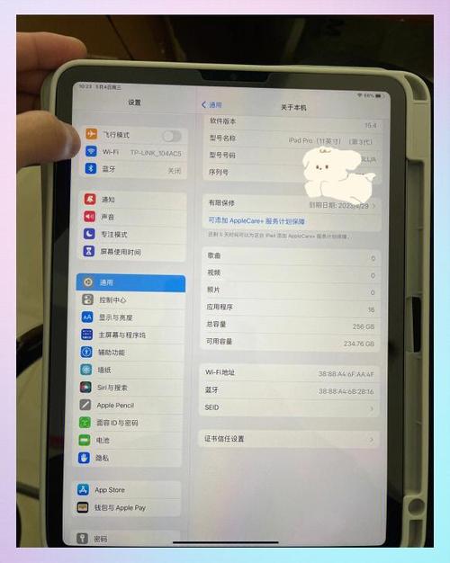 美版ipad插卡能识别没有网络截图