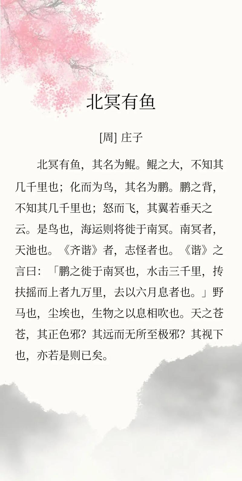 庄子蝶阿灿无删减全文