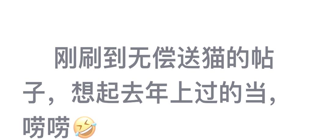领养猫给多少红包合适