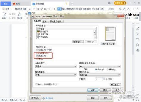 打印机选项怎么选