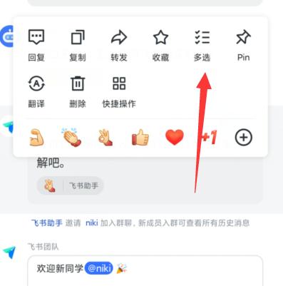 飞书聊天记录保存多久