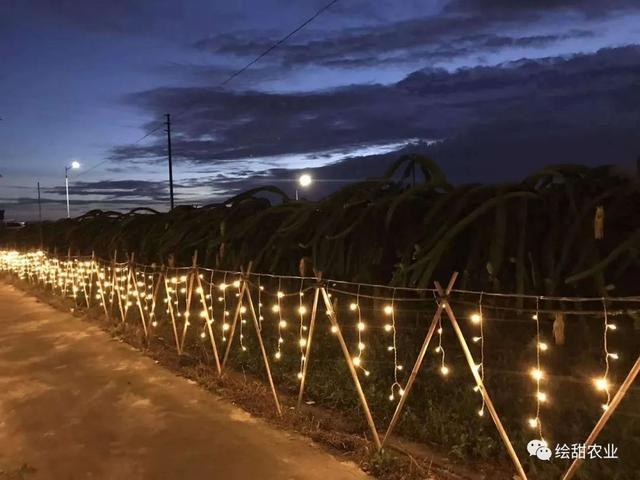 微信农场黑夜模式