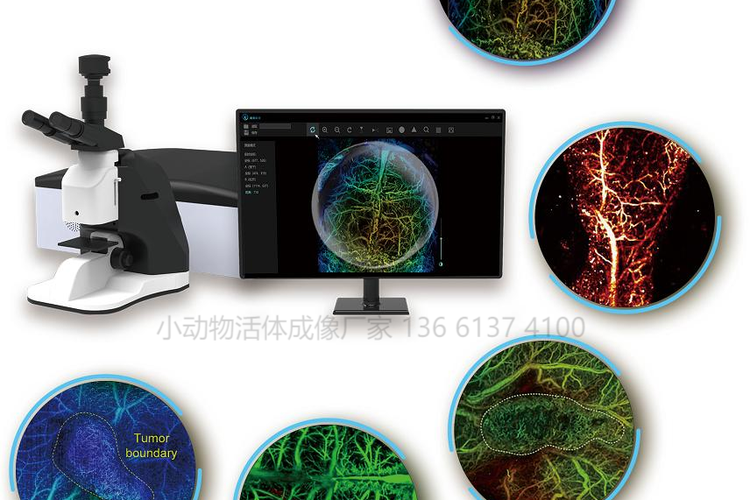 spsspro做灵敏度分析截图