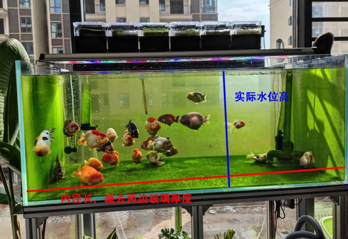 鱼缸多少升水算法
