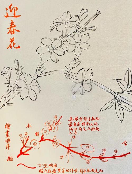 迎春花怎么种植方法