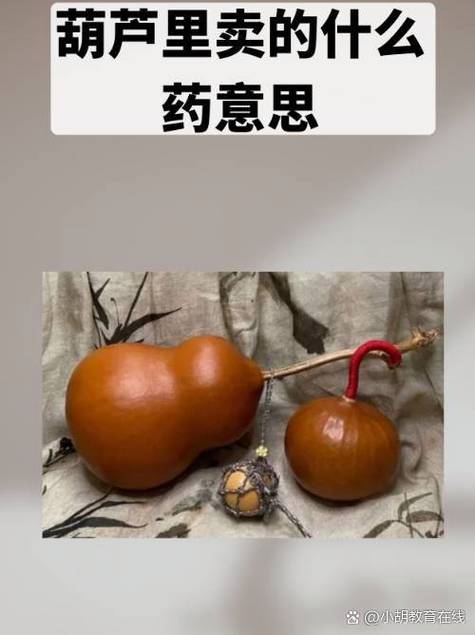 葫芦里卖药免费观看全集