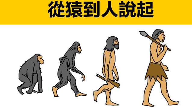 森林古猿进化到人的缩略图