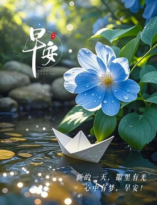 好久没发圈最经典一句