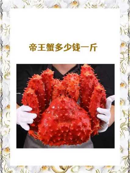 蟹王多大