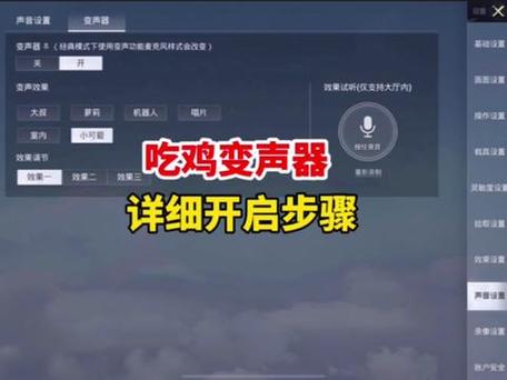和平精英变声器怎么开